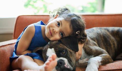 порода собак