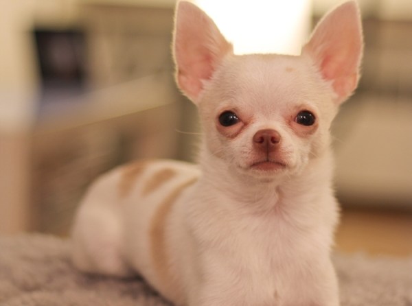 смешанные породы